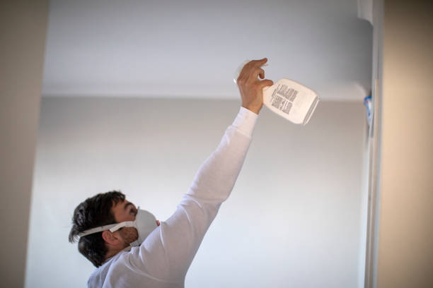 Best Crawl Space Mold Removal  in La Crescent, MN