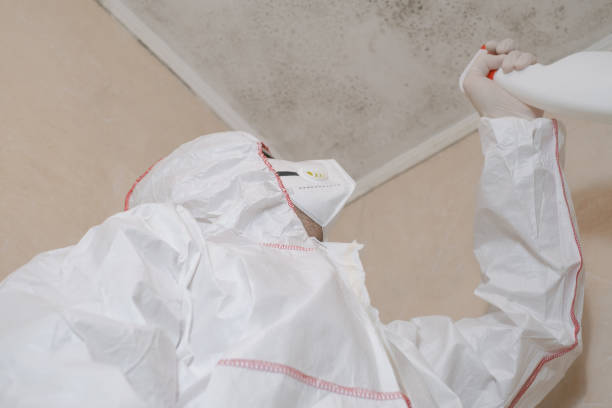 Best Mold Damage Repair  in La Crescent, MN
