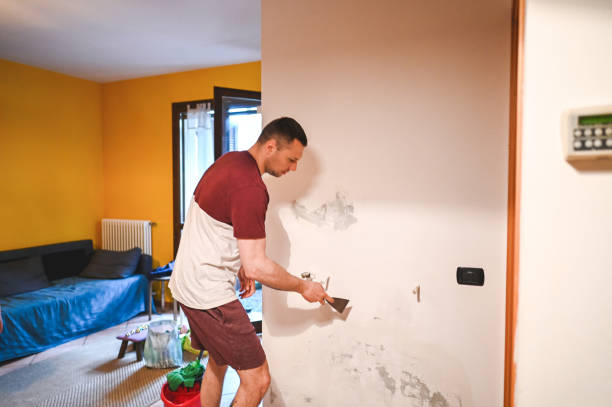 Office Mold Removal Services in La Crescent, MN